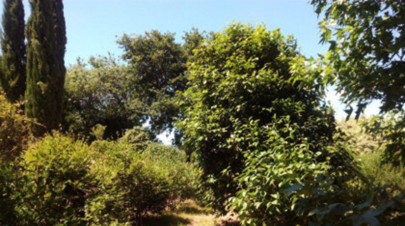 Pontevedra - As Pereiras - 3800m2