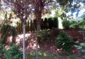 Finca rústica en venda a Santiago de Covelo ref.: TR18761 foto