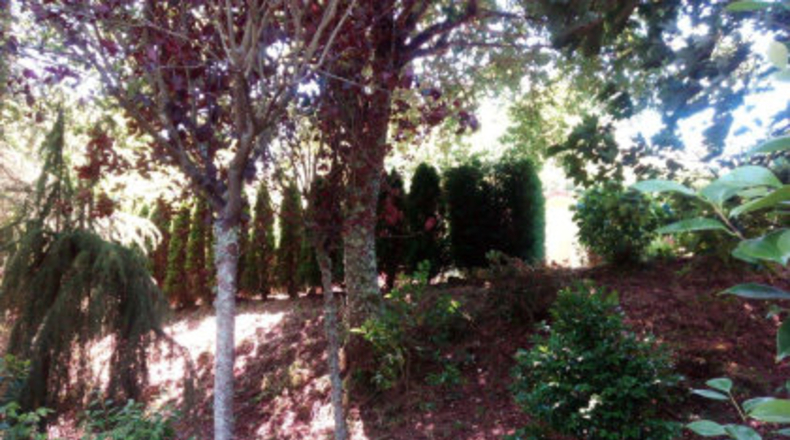 Pontevedra - As Pereiras - 3800m2