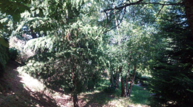 Pontevedra - As Pereiras - 3800m2