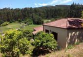 Finca rústica en venda a Santiago de Covelo ref.: TR18761 foto