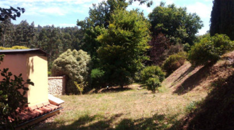Pontevedra - As Pereiras - 3800m2