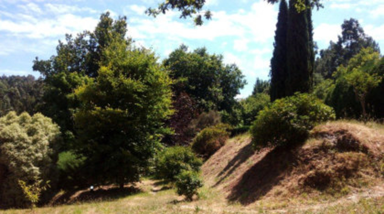 Pontevedra - As Pereiras - 3800m2