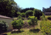 Finca rústica en venda a Santiago de Covelo ref.: TR18761 foto