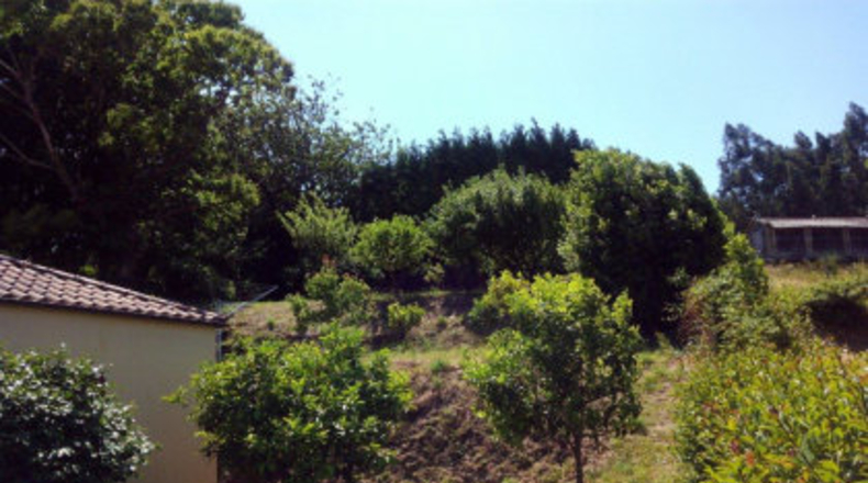 Pontevedra - As Pereiras - 3800m2