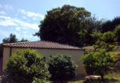 Finca rústica en venda a Santiago de Covelo ref.: TR18761 foto