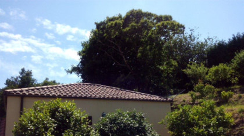 Pontevedra - As Pereiras - 3800m2