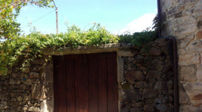 Pontevedra - As Pereiras - 3800m2