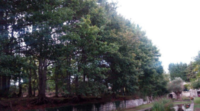 Pontevedra - Ponteareas - 18000m2