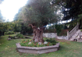 Finca rústica en venda a Cerdedo ref.: TR18758 foto