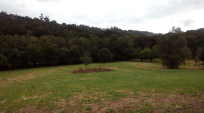 Pontevedra - Ponteareas - 18000m2