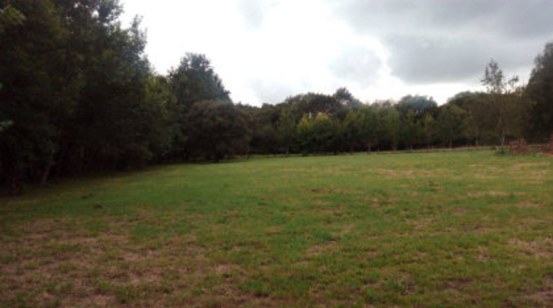 Pontevedra - Ponteareas - 18000m2