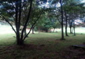 Finca rústica en venda a Cerdedo ref.: TR18758 foto