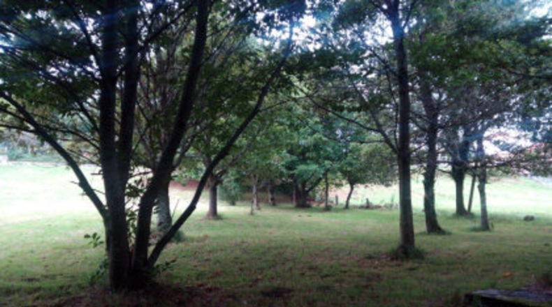 Pontevedra - Ponteareas - 18000m2