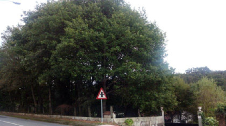 Pontevedra - Ponteareas - 18000m2