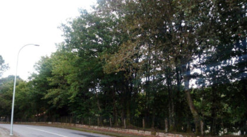 Pontevedra - Ponteareas - 18000m2