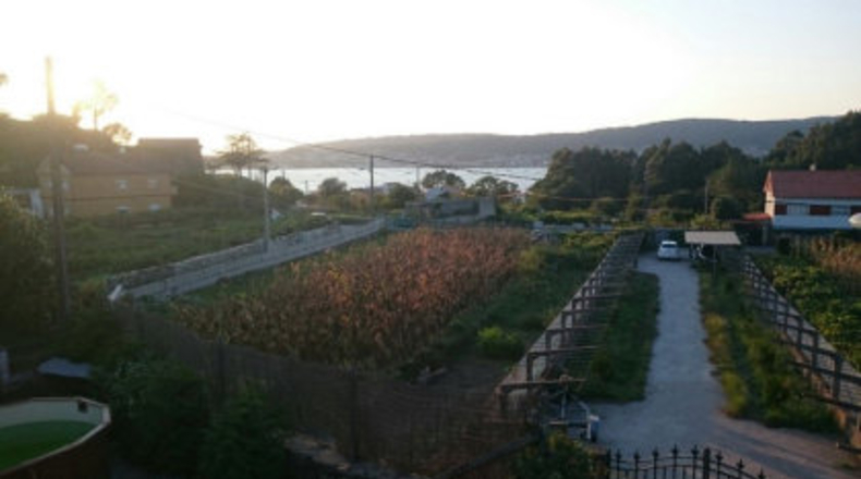 Pontevedra - A Barriada - 1000m2