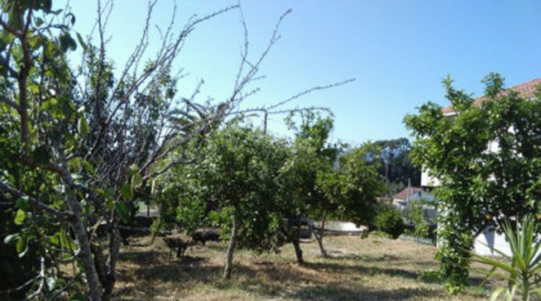 Pontevedra - A Barriada - 1000m2