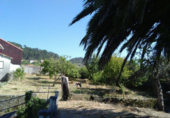 Xalet independent amb terreny en venda a Marín ref.: TR18757 foto