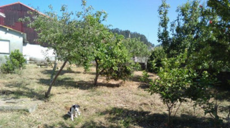 Pontevedra - A Barriada - 1000m2