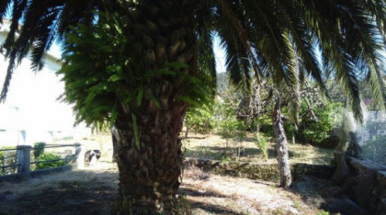 Pontevedra - A Barriada - 1000m2