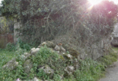 Non-developable land for sale in Poio de Arriba ref: TR110673 photo