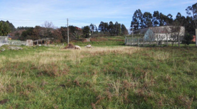 Pontevedra - Rial - 2613m2