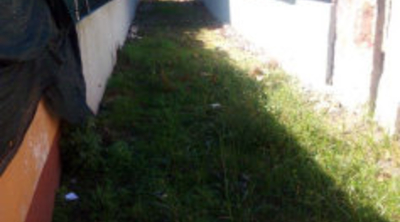 Pontevedra - Cesantes - 1000m2
