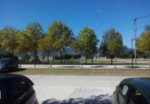 Terreny no urbanitzable en venda a Redondela ref.: TR54470 foto