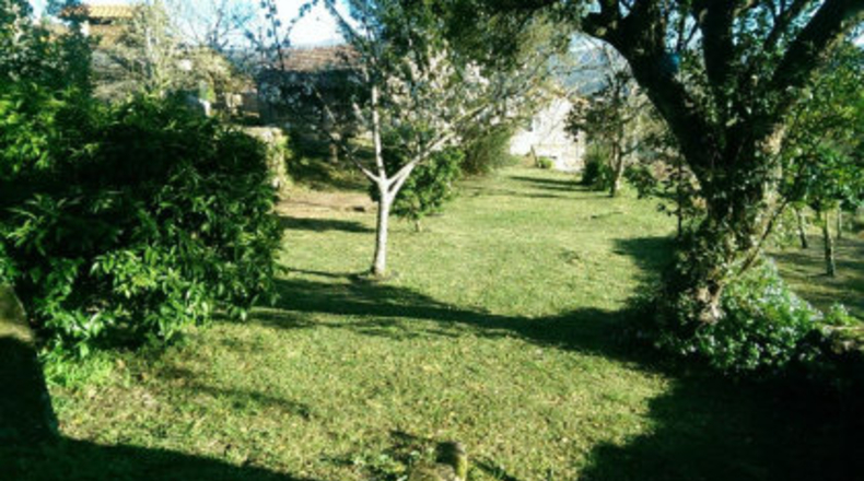 Pontevedra - Cequeliños - 1500m2