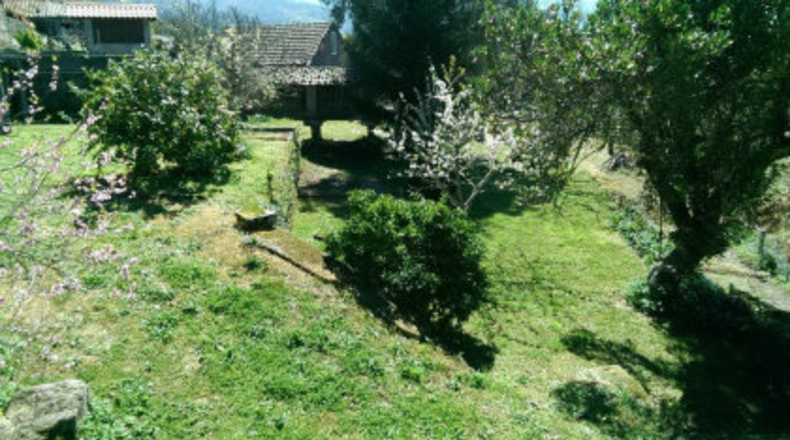 Pontevedra - Cequeliños - 1500m2