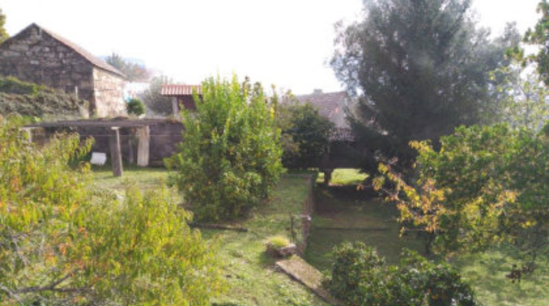 Pontevedra - Cequeliños - 1500m2
