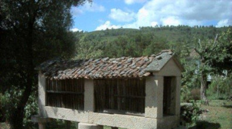 Pontevedra - Cequeliños - 1500m2