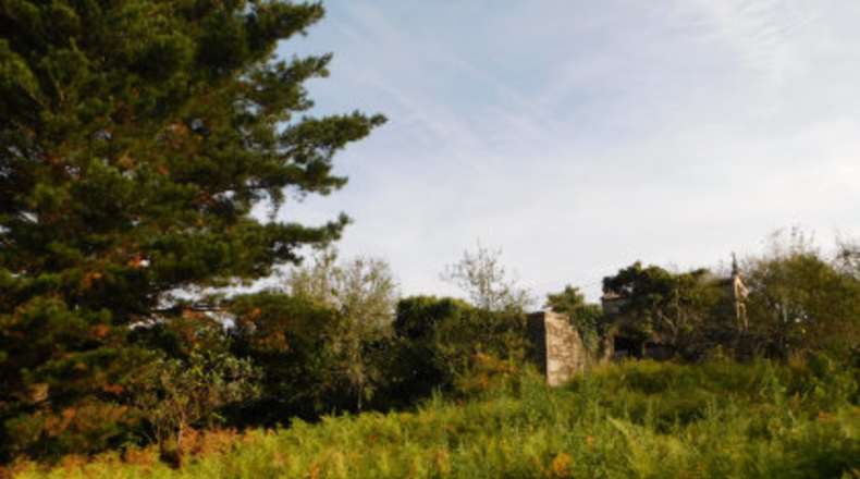 Pontevedra - Areas - 7842m2