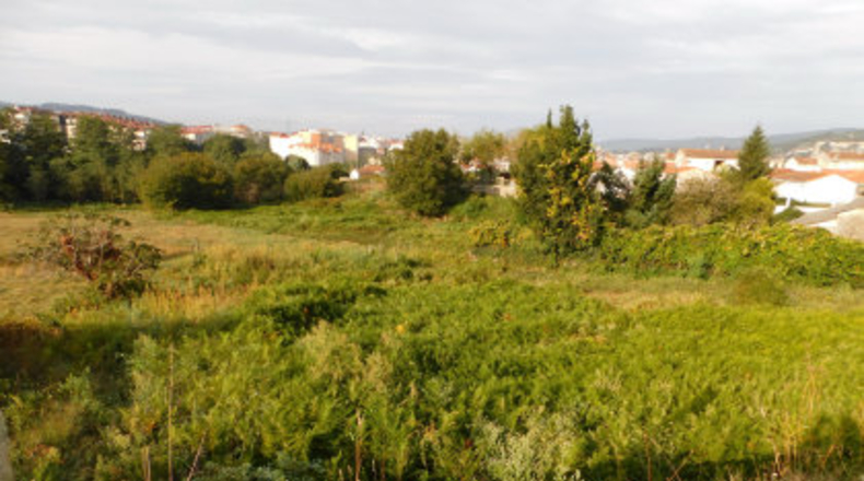 Pontevedra - Areas - 7842m2
