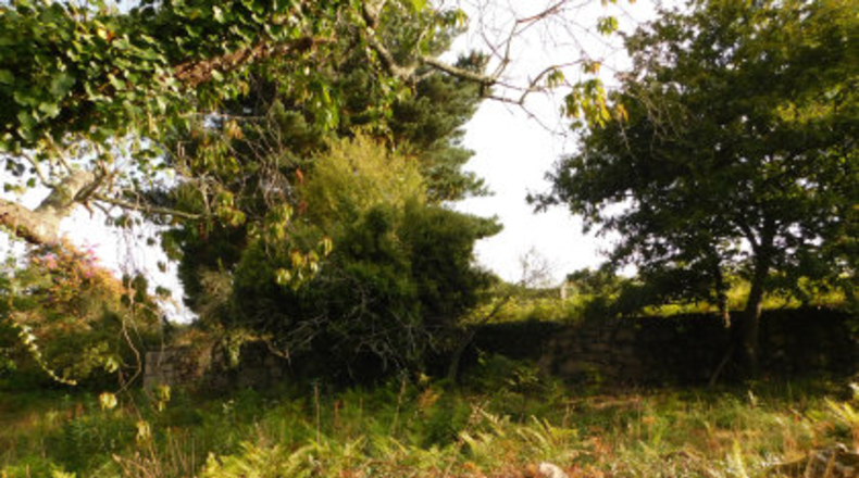 Pontevedra - Areas - 7842m2