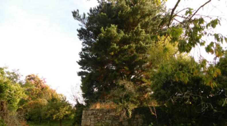Pontevedra - Areas - 7842m2