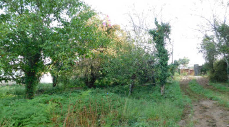 Pontevedra - Areas - 7842m2