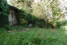 Foto 18