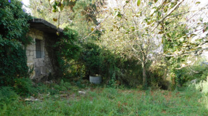 Pontevedra - Areas - 7842m2