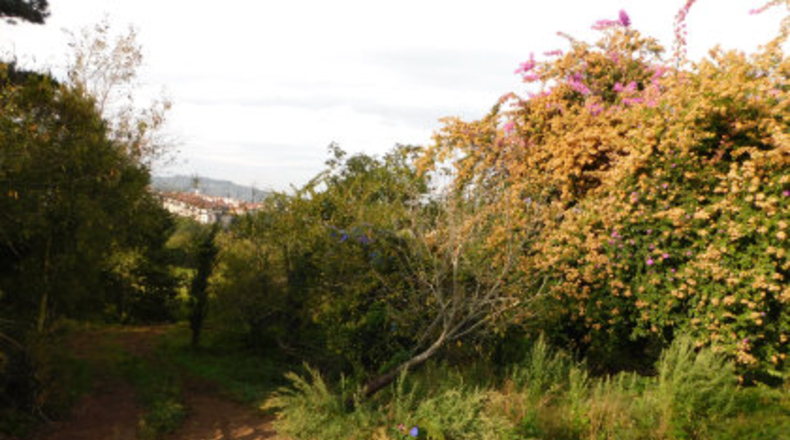 Pontevedra - Areas - 7842m2