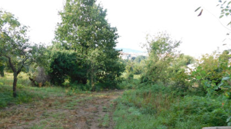 Pontevedra - Areas - 7842m2