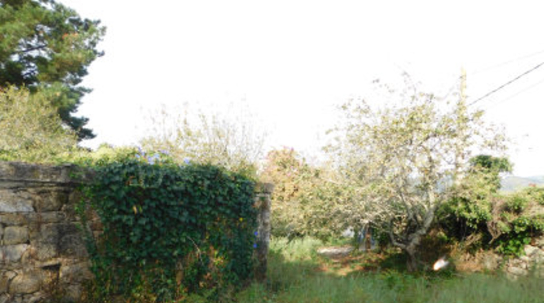 Pontevedra - Areas - 7842m2