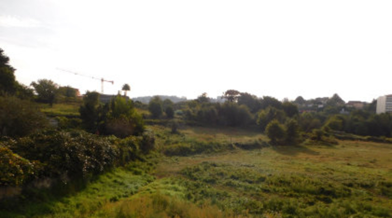 Pontevedra - Areas - 7842m2
