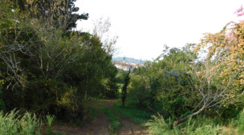 Pontevedra - Areas - 7842m2