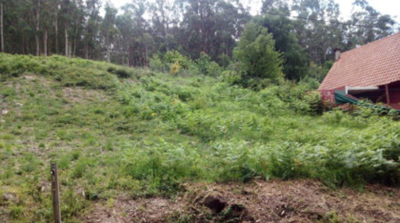 Pontevedra - Fragamoreira - 1009m2