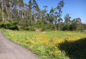 Land suitable for development for sale in Poio de Arriba ref: TR15715 photo