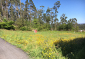 Land suitable for development for sale in Poio de Arriba ref: TR15715 photo