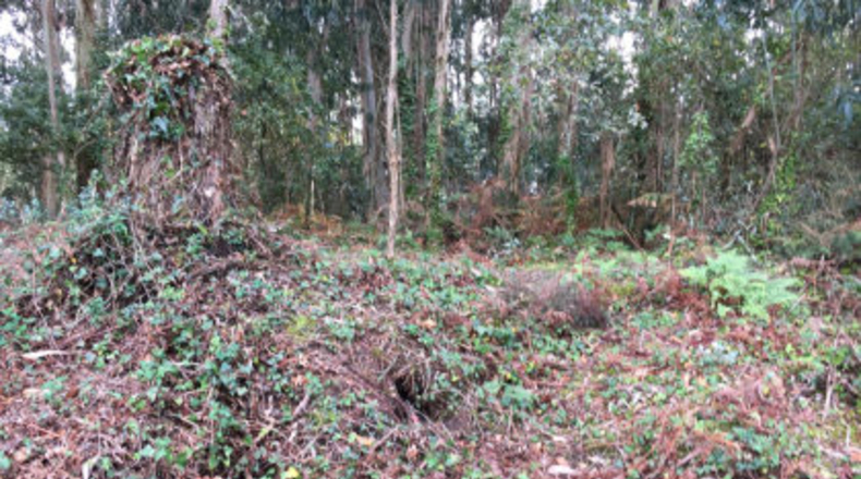 Pontevedra - Poio - 700m2