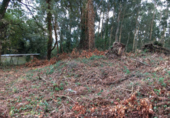 Terreno no urbanizable en venta en Poio de Arriba ref: TR15717 foto